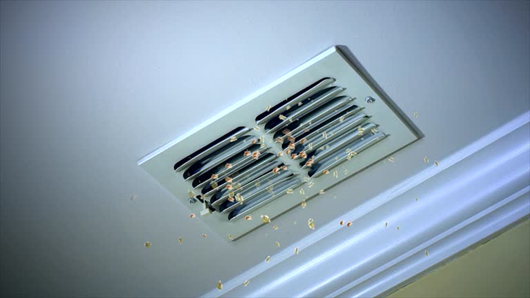 Best Air Duct Cleaning Near Me  in Belle Glade, FL