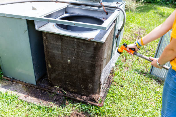 Best Residential Air Duct Cleaning  in Belle Glade, FL