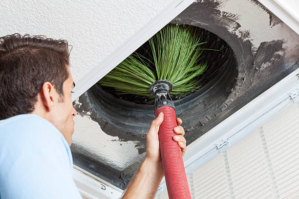 Best Commercial Air Duct Cleaning  in Belle Glade, FL