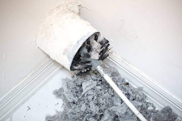 Best Air Vent Cleaning Services  in Belle Glade, FL