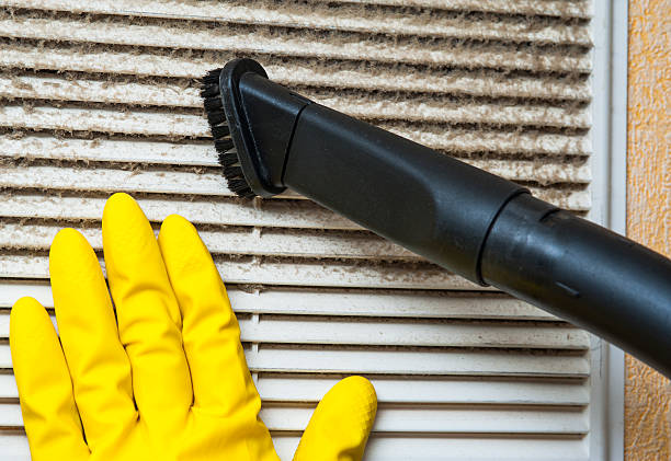 Best Dryer Vent Cleaning Services  in Belle Glade, FL